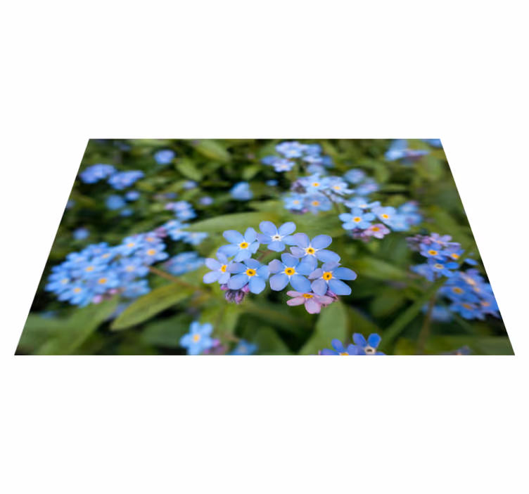 Cute little blue flowers floral placemats - TenStickers