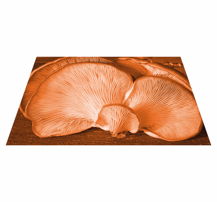Orange wild mushrooms underneath placemats - TenStickers