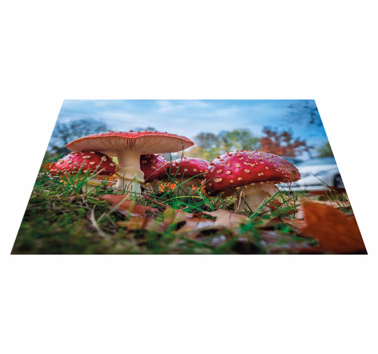 Modern placemats mushroom culinary scene - TenStickers