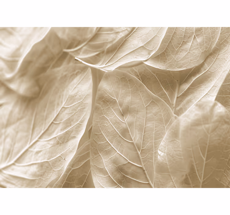 Big beige leaves  master bedroom mural - TenStickers