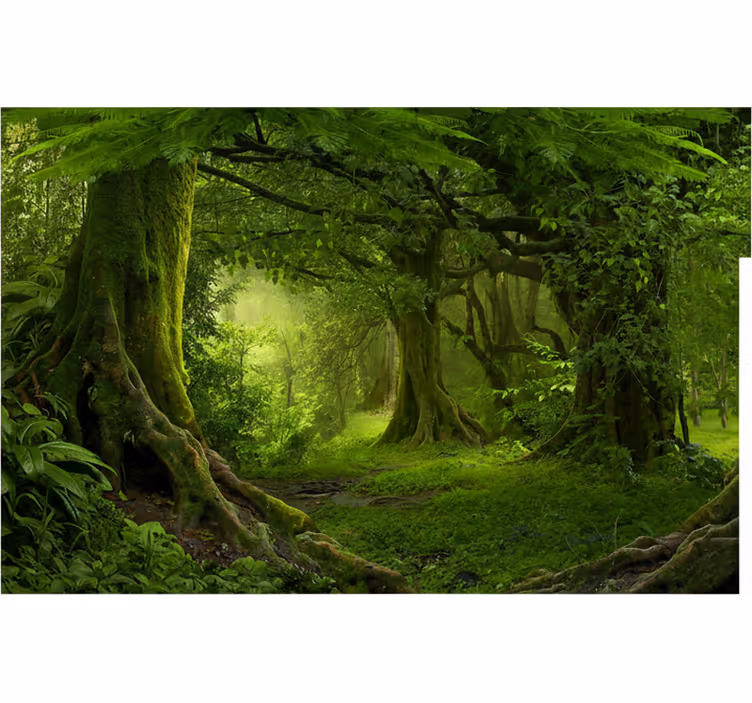 Forest wall mural lush woodland escape - TenStickers