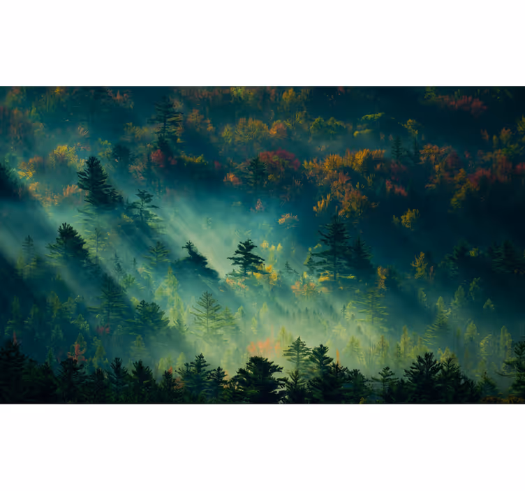 Forest wall mural the melancholic forest - TenStickers