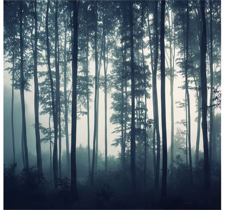 Forest wall mural painted forest zen - TenStickers
