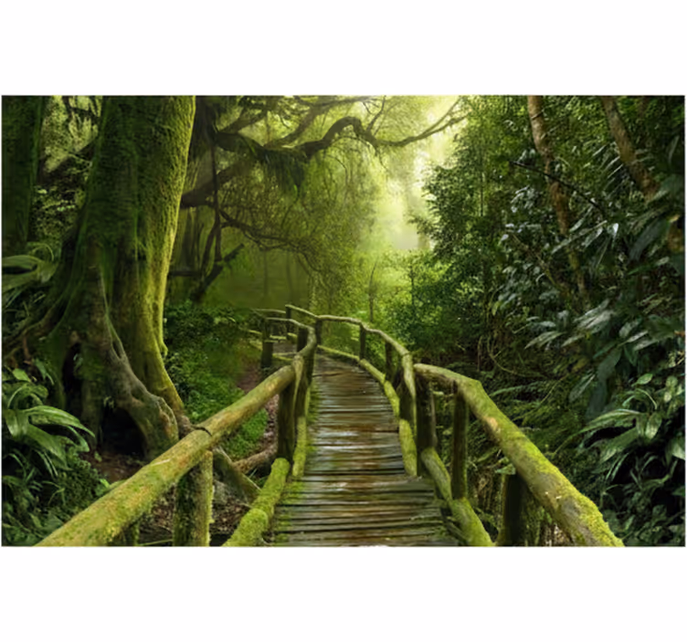 Forest wall mural lush mossy pathway - TenStickers