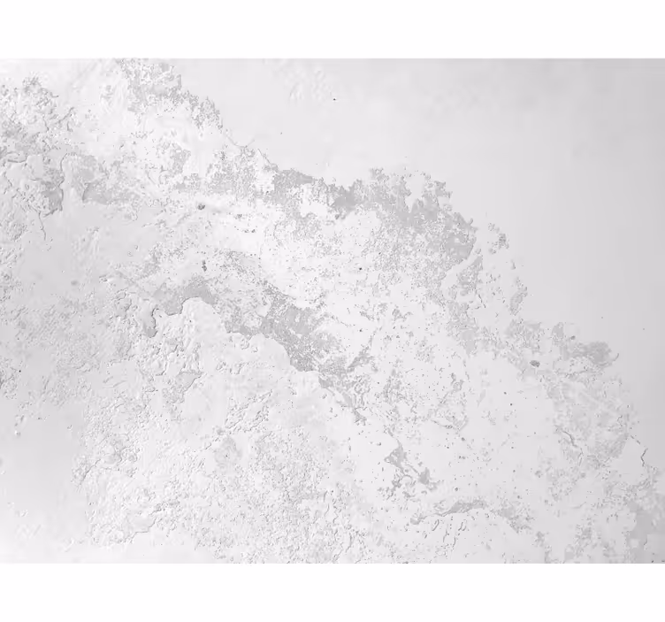 White wall mural gray pantone texture - TenStickers