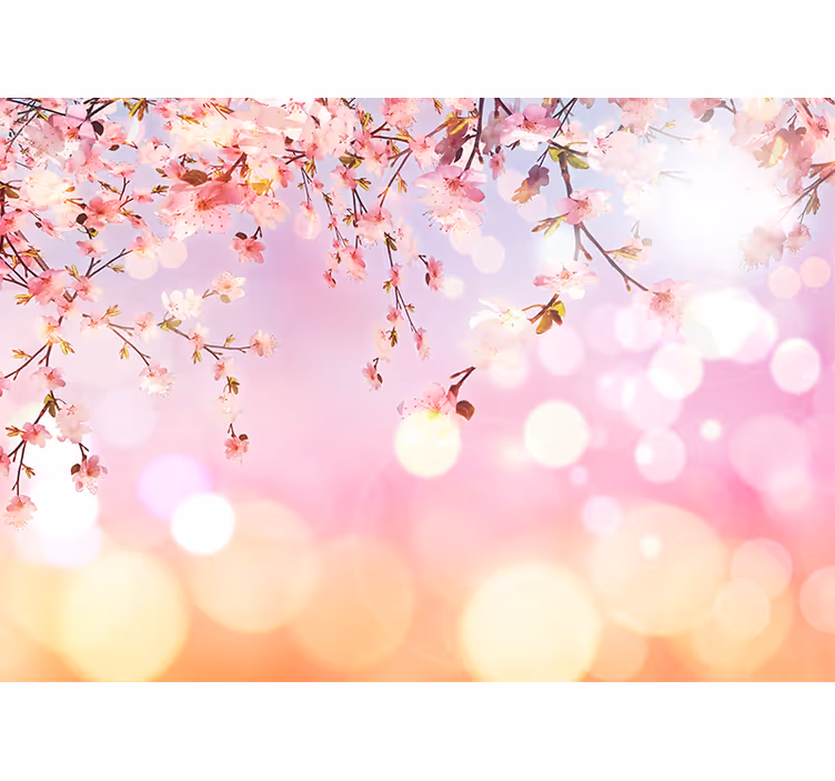 Pink wall mural cherry blossom 3d - TenStickers