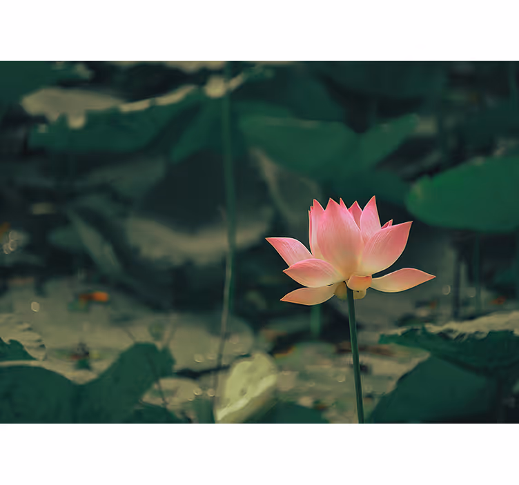 Green wall mural pink flower - TenStickers
