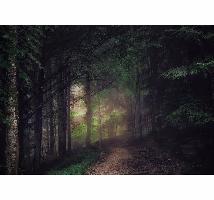 Old-growth forest hallway mural - TenStickers