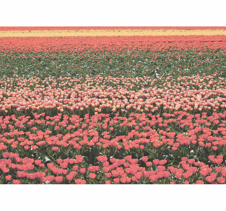 Hallway mural of a unique flower field - TenStickers