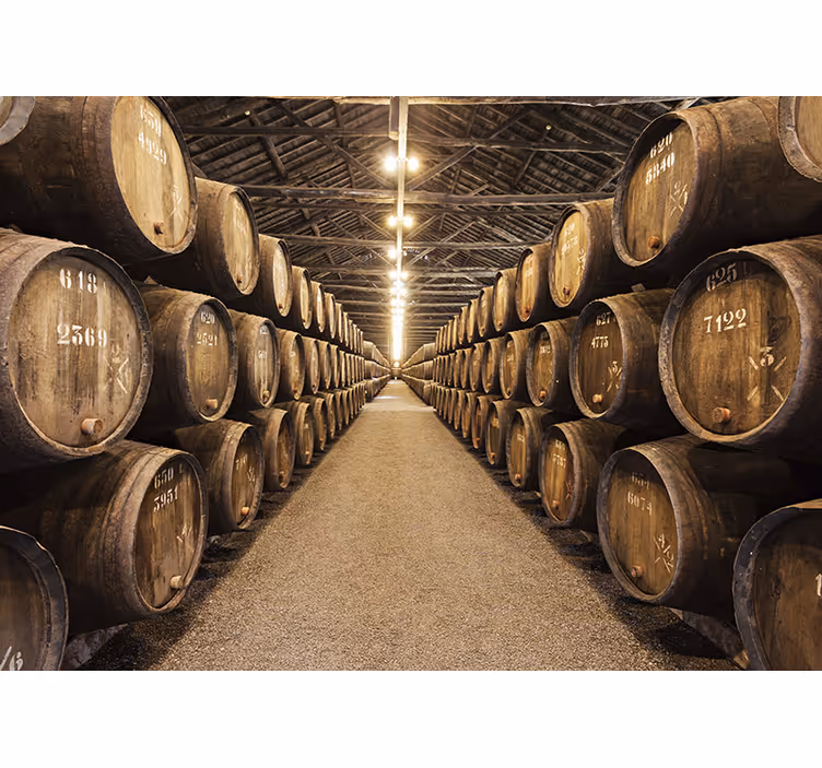 Wine Cellar Corridor vintage wall mural - TenStickers