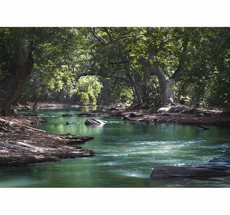 Nature wall mural serene river landscape - TenStickers