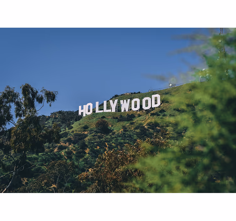 City wall mural hollywood sign landscape - TenStickers