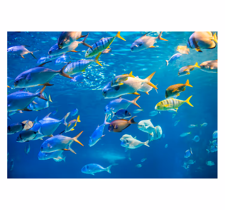 School of sea animal wall mural - TenStickers