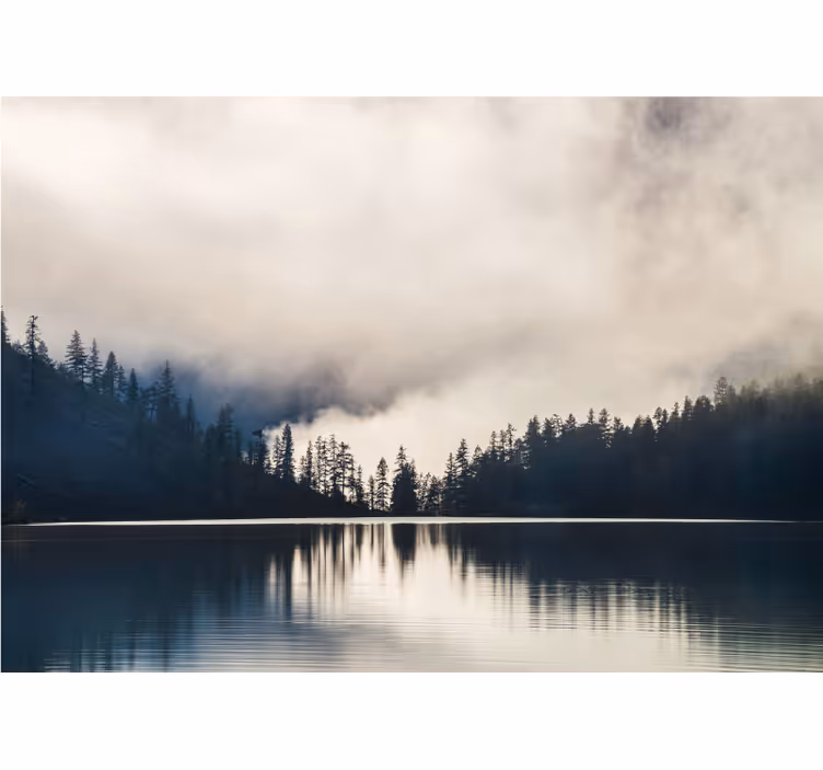 Misty Woodland Reflection landscape mural wallpaper - TenStickers