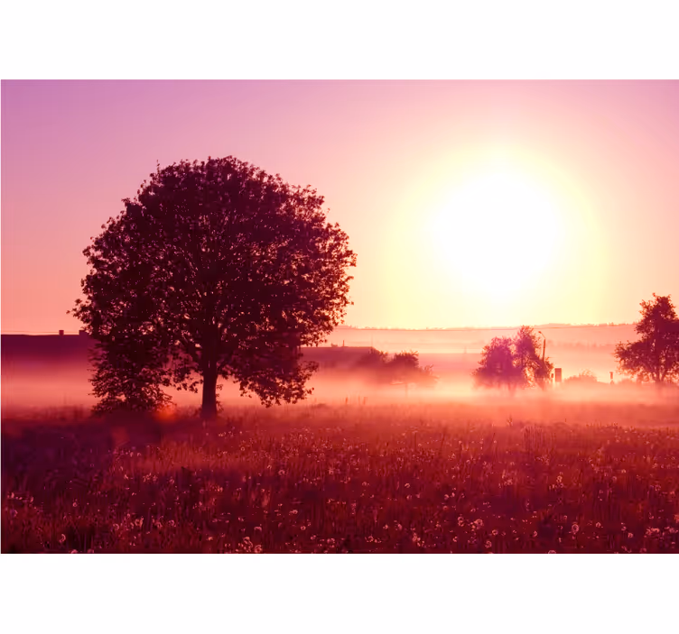 Nature wall mural silhouetted tree sunset - TenStickers