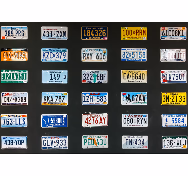 Vehicle mural of vibrant license plates - TenStickers