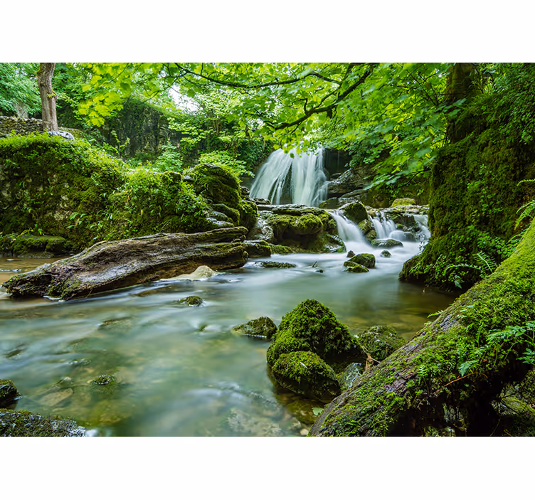 Forest with waterfall and river 3D Wall Mural - TenStickers