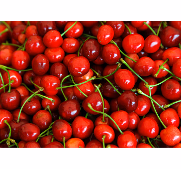 Flower mural ripe cherry clusters - TenStickers