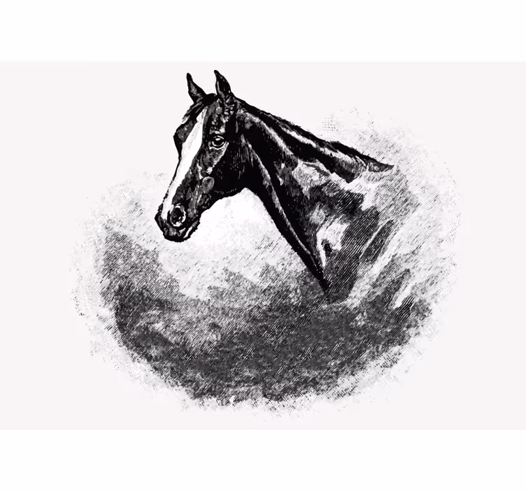 Animal wall mural stallion head decor - TenStickers
