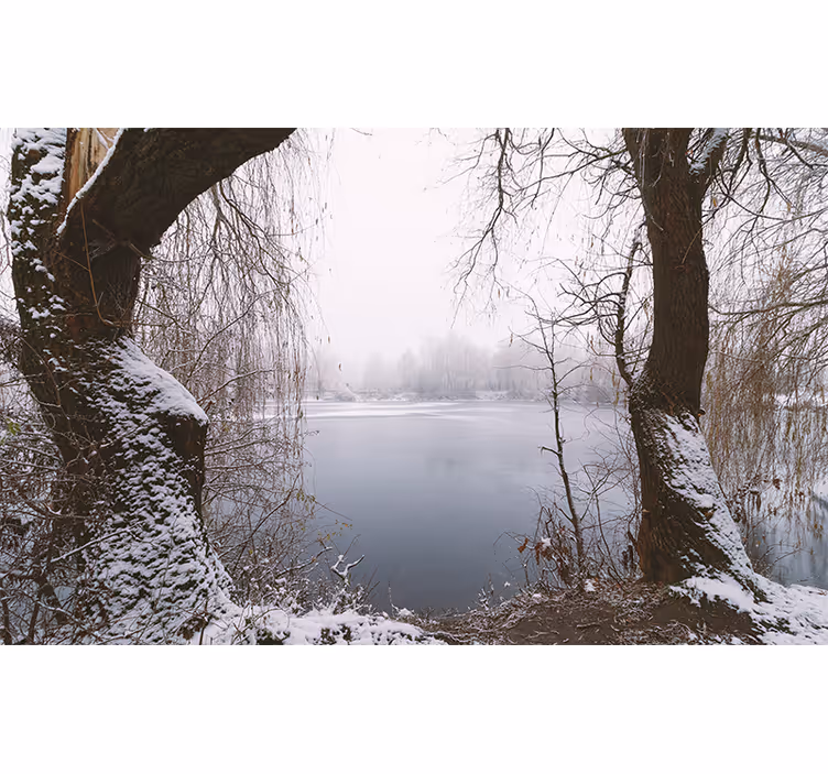 Frozen Lake View mountain wall mural - TenStickers