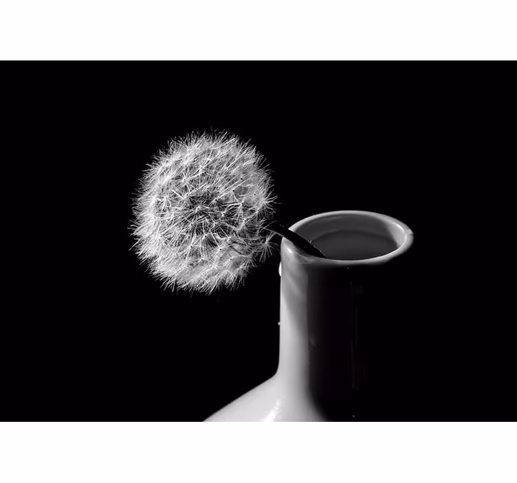 Dandelion mural dandelion in a vase - TenStickers