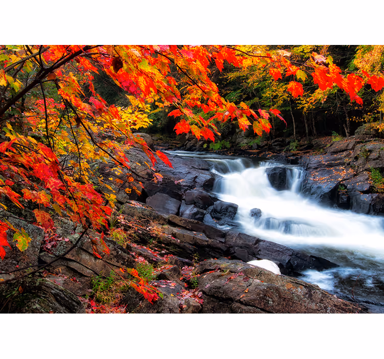Autumn landscape with leaves Waterfall Mural - TenStickers