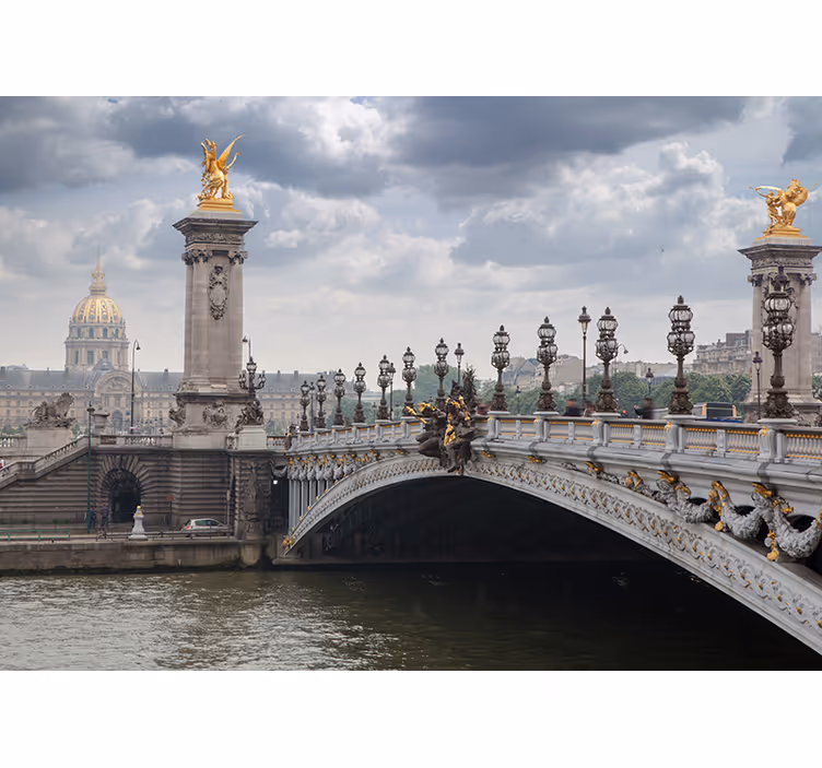 Paris grand bridge  paris wall mural - TenStickers