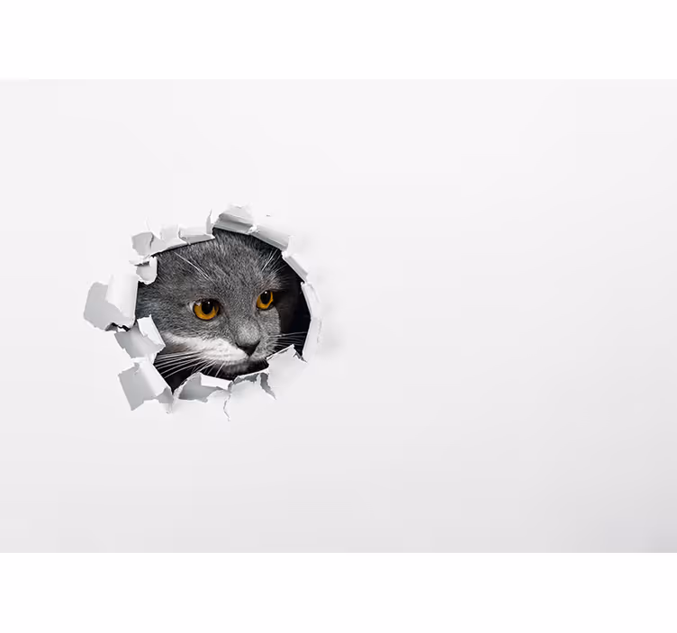 Curious Cat Peeking animal wall mural - TenStickers
