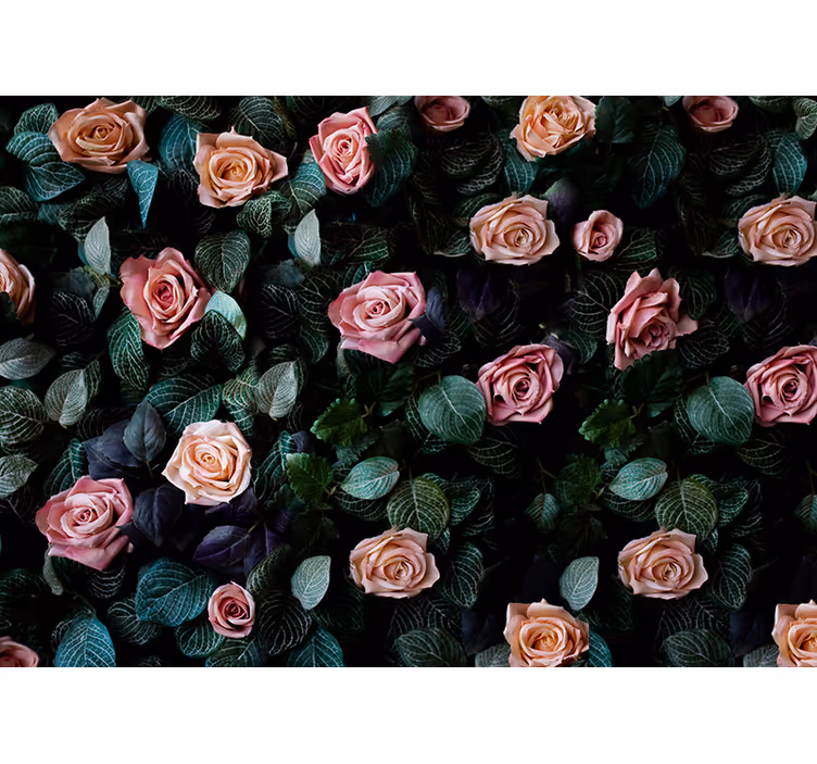 Pink coral roses wall mural - TenStickers