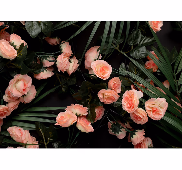 Flower mural soft pink roses - TenStickers