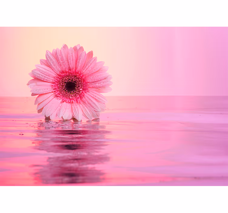 Pink Flower Reflection poppy wall mural - TenStickers
