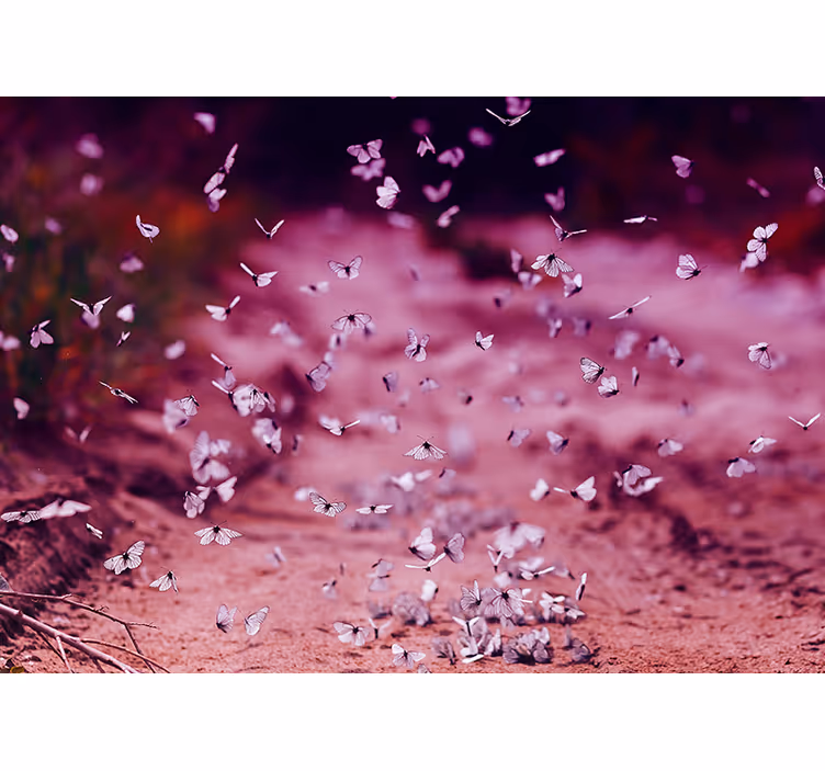 Delicate Butterfly Dance flower mural - TenStickers
