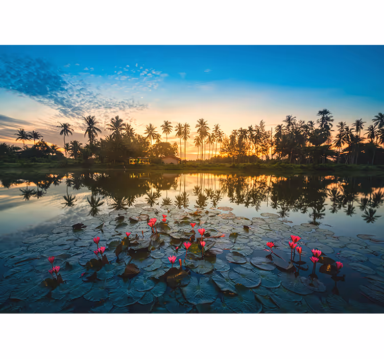Serene Lotus Reflection nature wall mural - TenStickers