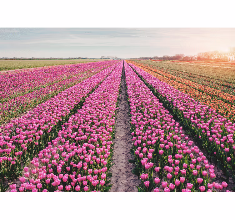 Flower mural tulip meadow landscape - TenStickers
