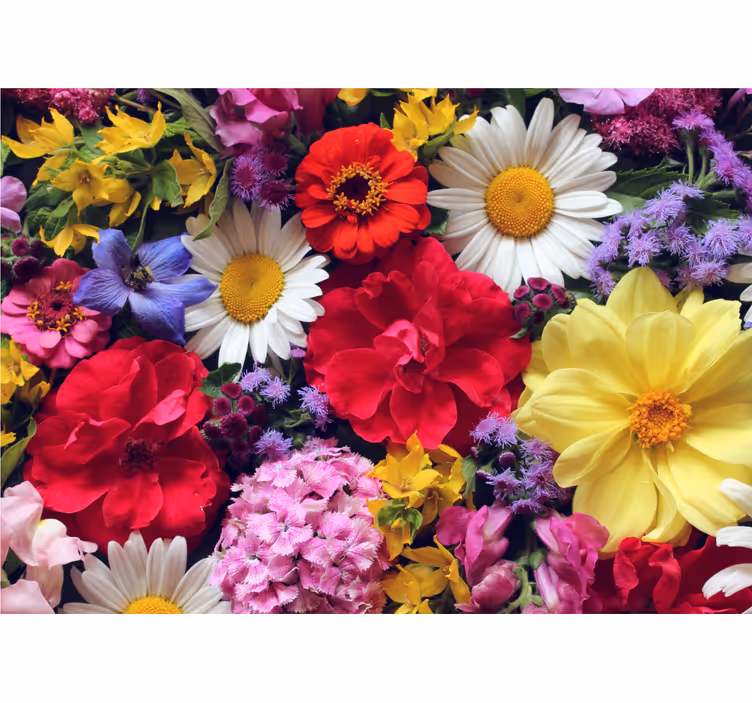 Flower mural vibrant bloom design - TenStickers