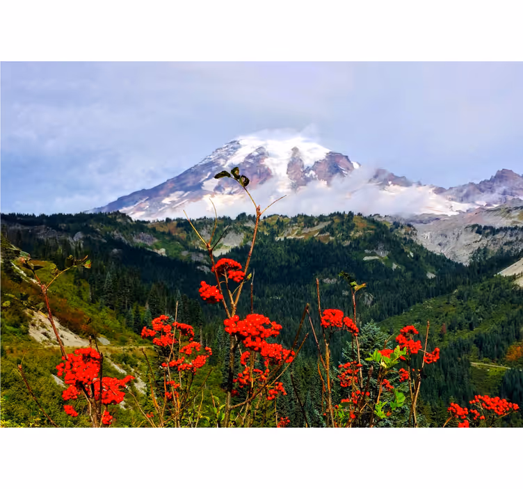 Landscape mural wallpaper snow-capped mountains - TenStickers