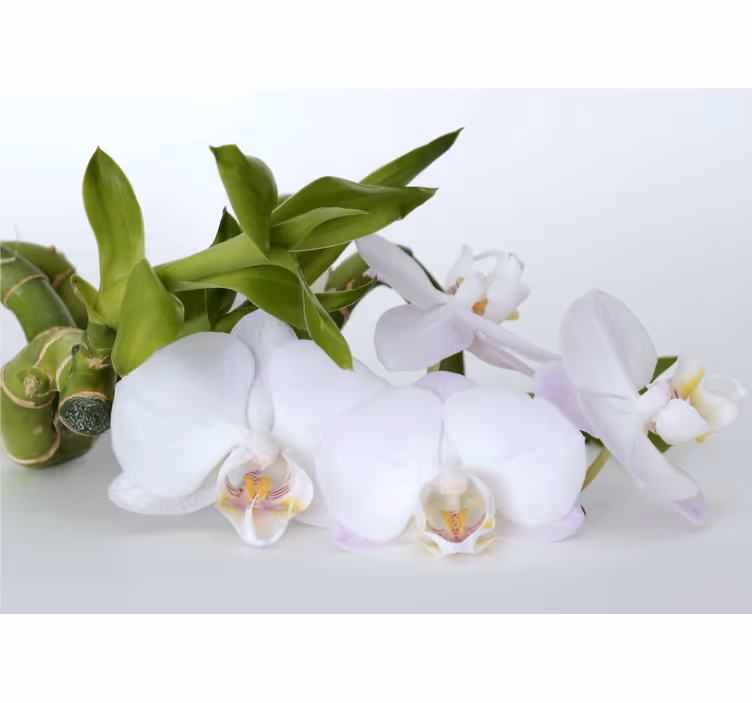 Orchid mural elegant orchid arrangement - TenStickers
