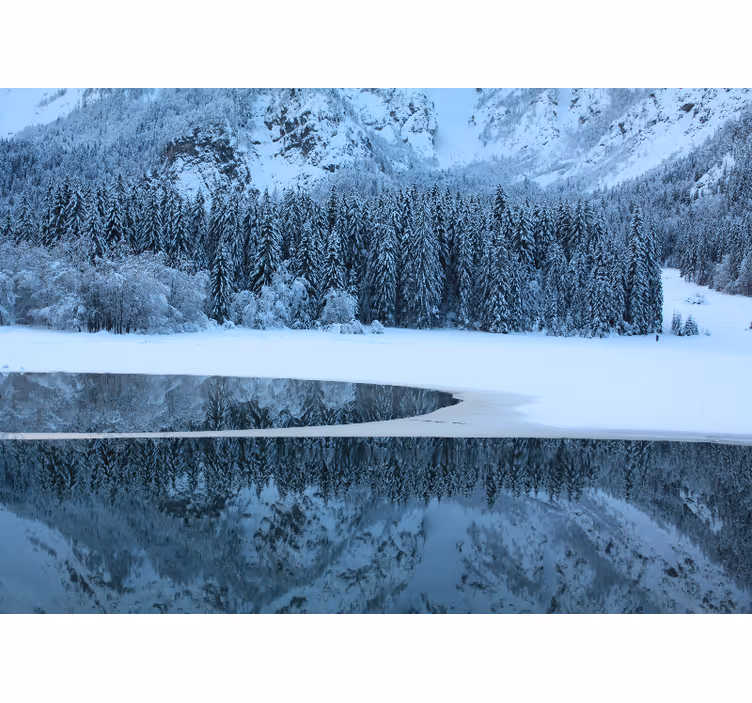 Serene winter landscape landscape mural wallpaper - TenStickers
