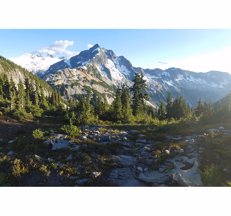 Landscape mural wallpaper mountainous forest scene - TenStickers
