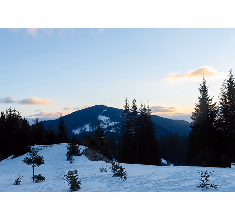 Mountain wall mural frosty summit landscape - TenStickers
