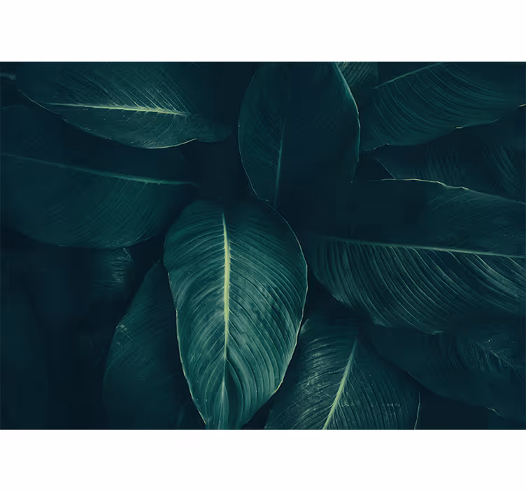 Nature wall mural lush leafy texture - TenStickers
