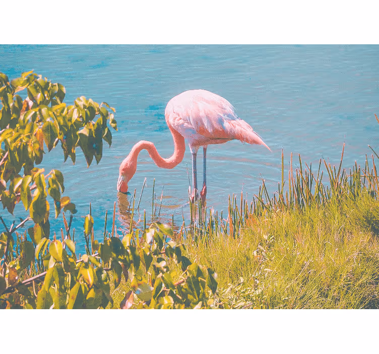 Pink Flamingo Serenity animal wall mural - TenStickers