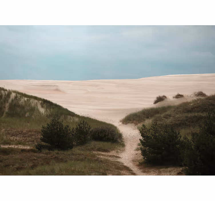 Landscape mural wallpaper sandy dune path - TenStickers