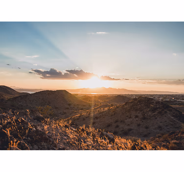 Desert mural sunset scene - TenStickers