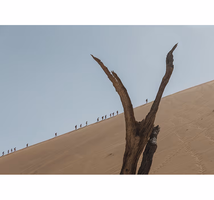Dune Hikers Silhouette desert mural - TenStickers