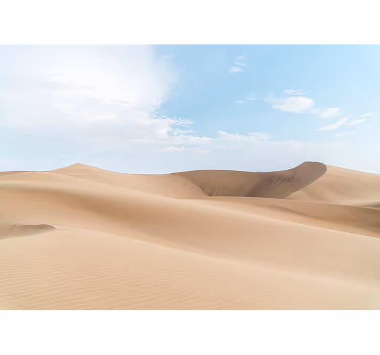 Desert mural serene sand dunes - TenStickers