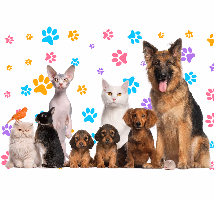 Dogs and cats paw  wall mural - TenStickers