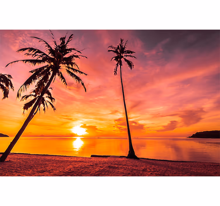 Nature wall mural tropical sunset scene - TenStickers