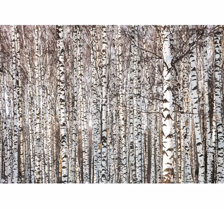 Tree mural birch tree forest - TenStickers