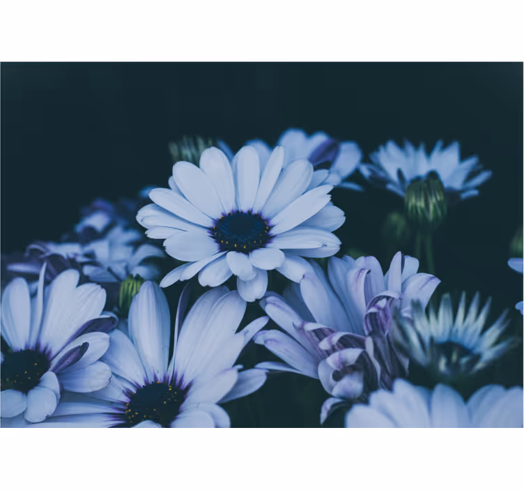 Flower mural serene floral design - TenStickers